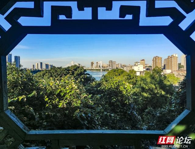 邂逅益阳古十景｜走进“裴亭云树”的诗意时光