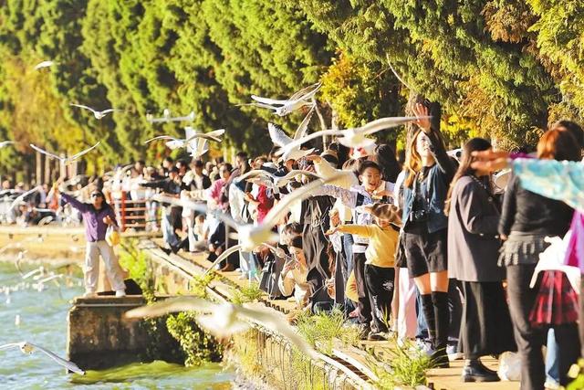 从过境地到目的地，看昆明转型之路→