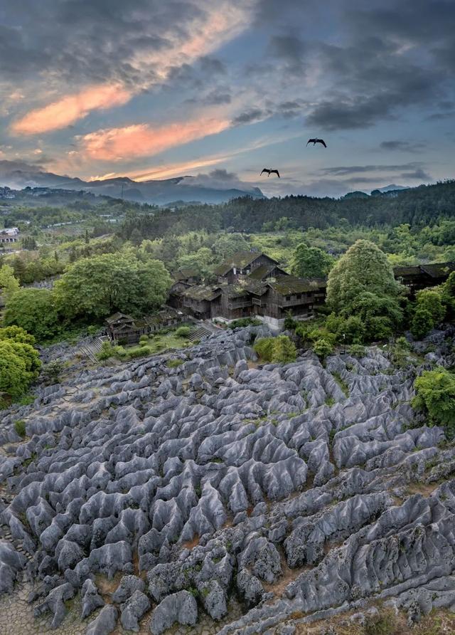 谁说四川没有海？