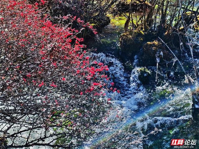 九寨沟的冬日浪漫：雪吻海子，阳光作画，太治愈了