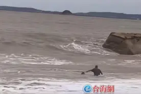 小女孩被海浪卷入海中 危急关头 他冲入大浪搂紧孩子图片