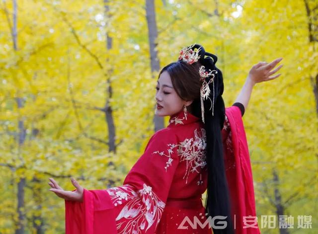 定格秋日浪漫！安阳市区这19个地方“落叶缓扫”，速来打卡→