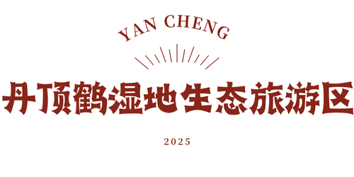 十一盐城玩法解锁！8天不重样！
