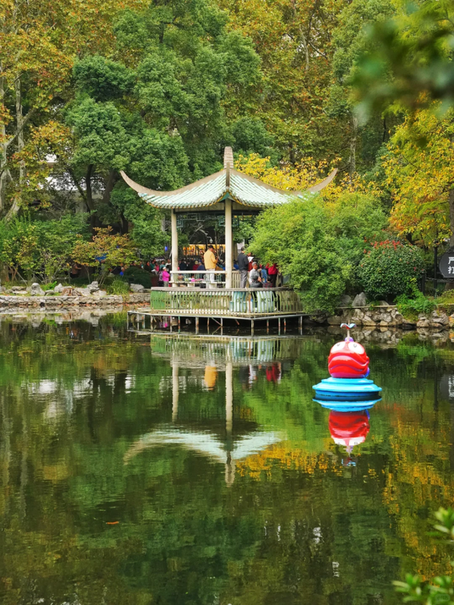 2000+地肤、450+枫树换上“秋装”！就在上海市中心这个免费公园→