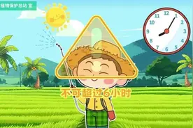 喷洒农药时如何做好个人防护？海南省植保站专家支招图片