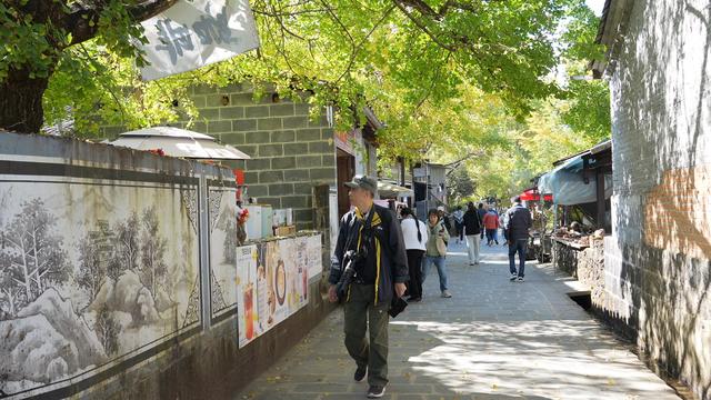 腾冲银杏村，迎来最佳观赏季！