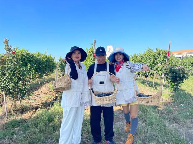 双节赴仙境｜这份蓬莱旅游“仙”气攻略请收好