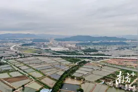深读｜融合发展，横栏如何打造“通衢”之城？图片