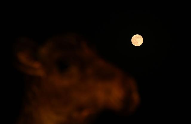 敦煌：明月映大漠