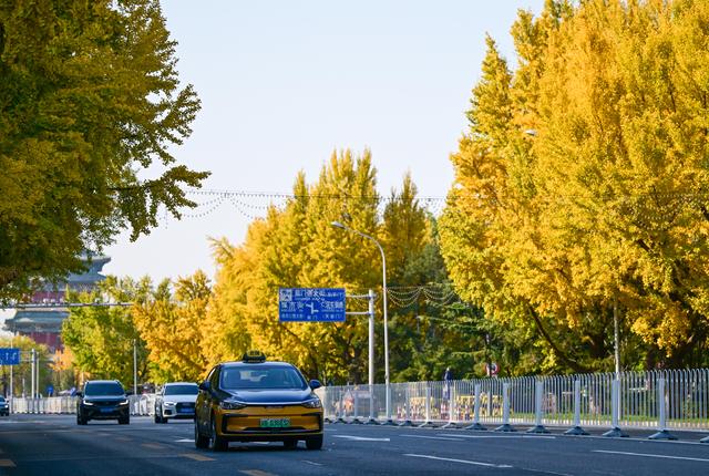 京城秋深韵悠长