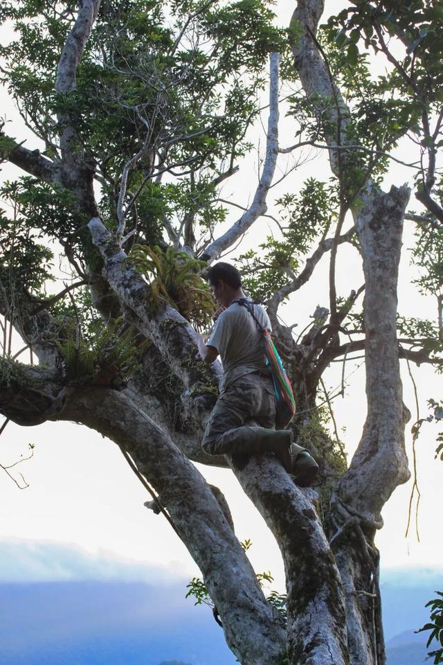 他初中毕业后终身不婚，荒野舍命工作20年，被一群博士封神