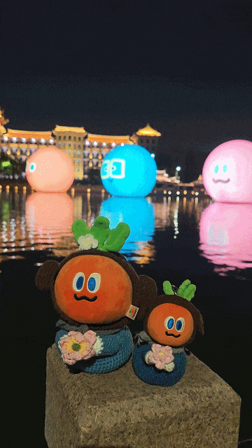 亮了！亮了！“五球”在厦门啦......