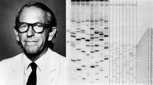 全球首个AI基因组诞生，35亿年生命代码重编程，生物学迎「ChatGPT时刻」