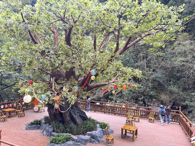 投入超4000万元！池州一景区上新