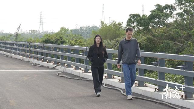 骑行打卡“红树林+古村落”，阳西大洲桥12月通车