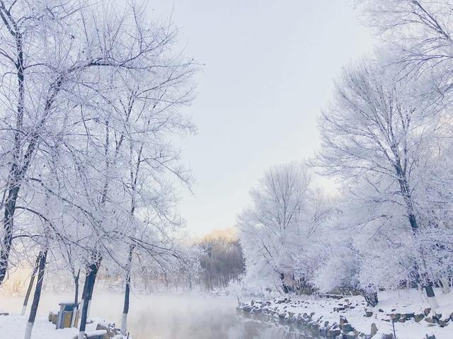 本溪水洞冬序：雾凇渡鸭，琴湖藏冬