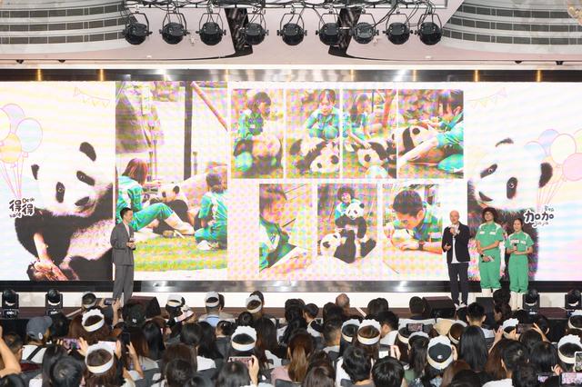8月预定增70%！香港海洋公园掀起“熊猫热”