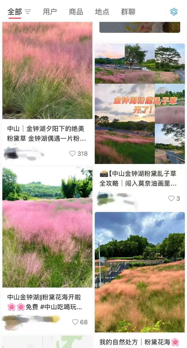 中山，粉了！免费免预约打卡→