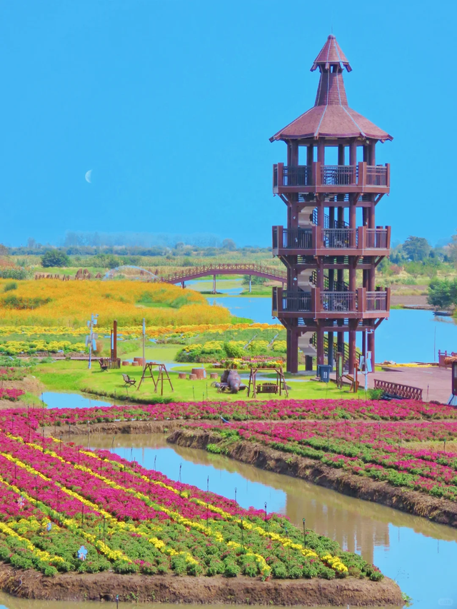 八方来客，泰州隆重接驾！