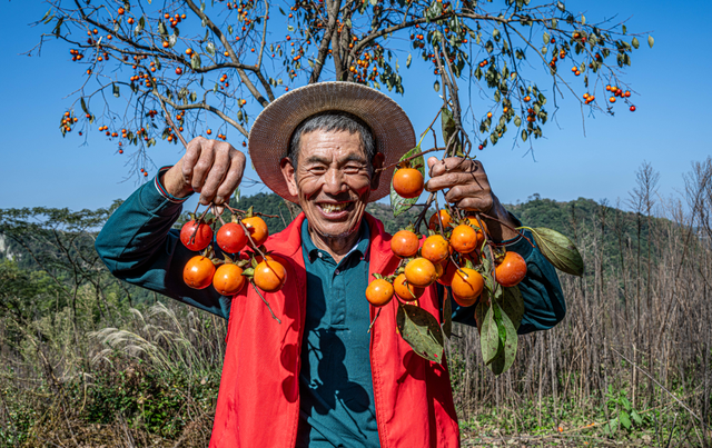 宁波这个古村，你打卡了吗？