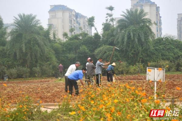 秋游时刻丨在湖南省植物园，听到了园丁们唱岀来的秋之歌