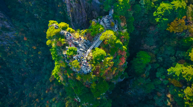 出片率100%！黄山风景区进入最佳赏秋期