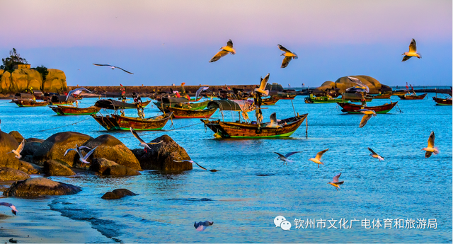 热到融化？优惠已备好，钦州山野凉风吹起来～