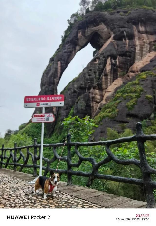 滑板耶耶帅气出街，打卡道家仙山！龙虎山宠物友好景区实锤了，快带上毛孩子来畅玩仙境福地！