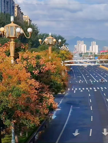 秋意渐浓，五彩斑斓朐城等你来打卡！