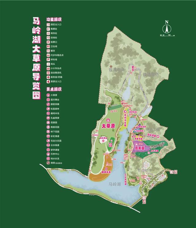 藏不住了！马岭千亩花海美成童话，福利门票免费送~