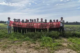 2024年吉林省农业重大技术协同推广项目团队走进大安市图片