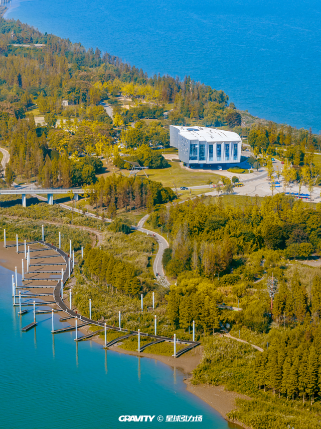 文旅湘江丨绝对不可以，错过长沙版的「秋日芦苇海」