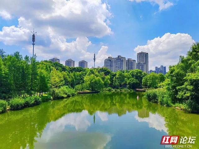 天幕如画，城市生光，这才是常德的夏天