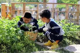 在这个幼儿园，萌娃用双手共建“秘密基地”图片