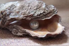 母亲节想送咱妈高质量的珍珠项链？快来看→图片