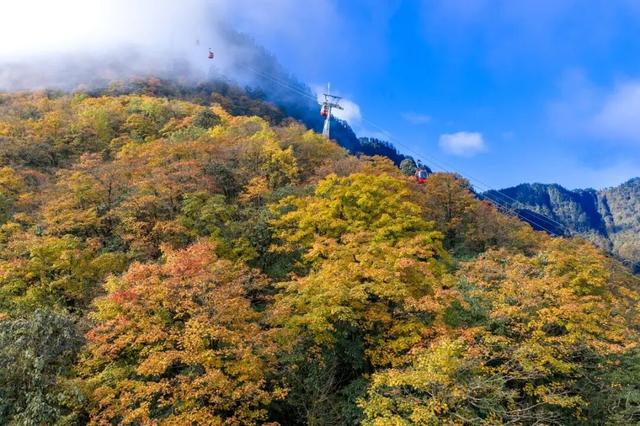 来瓦屋山沉浸式徒步！与漫山秋色撞个满怀！