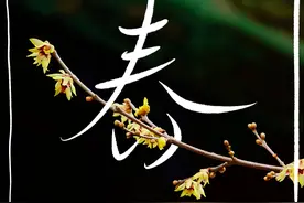 原来 可以用汉字打开春天~图片