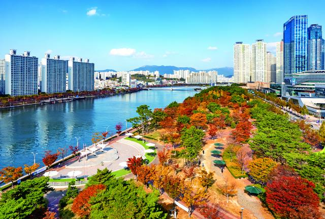 中国旅游团赴韩免签！“2025自游FUN韩-赏韩枫”主题推广活动全面启动