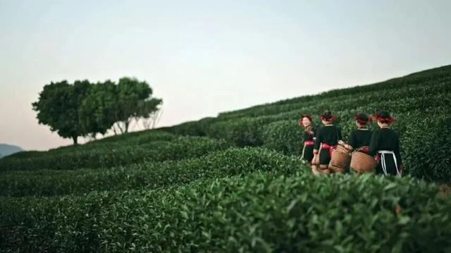 宋轶畲族“凤凰装”美出圈！带你打卡福建的宝藏畲村