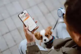 海量财经｜多平台推出宠物“打车”服务 比普通出行贵图片