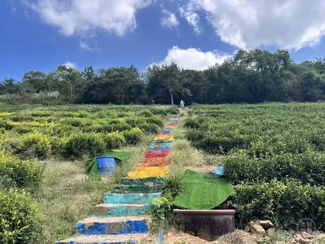 户外！户外！重要提醒