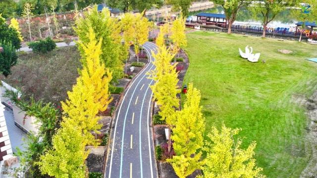 别去日本了！新洲的“同款”风景，美得更懂你