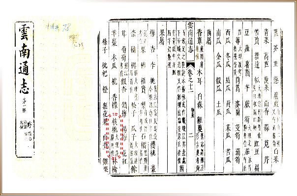 漾濞是“世界核桃起源地”！有五个维度可为证……