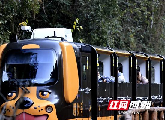 张家界市武陵源区：乐享冬日旅行时光（组图）