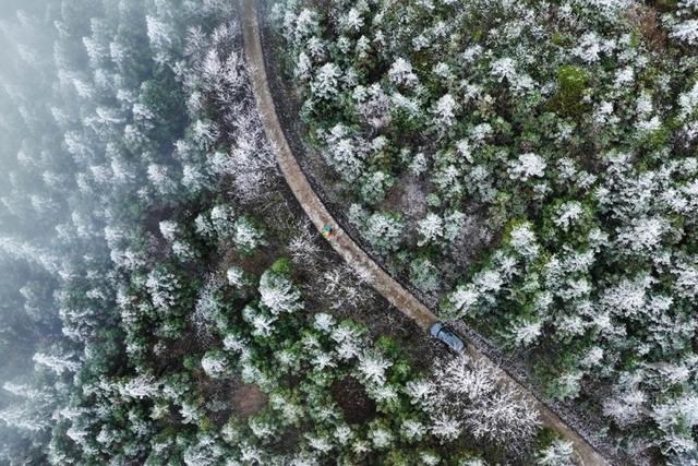 降温降雪 黔江高山地区迎来雾凇美景