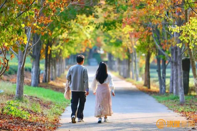 秋日限定 “枫” 景！南昌这里，也太美了吧