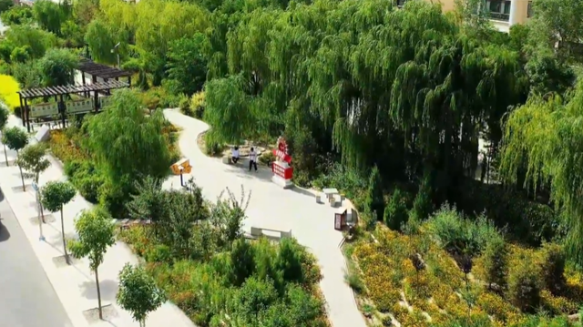 敦煌：冬春造林跑出“加速度” 为文化旅游名城建设注入强劲动能