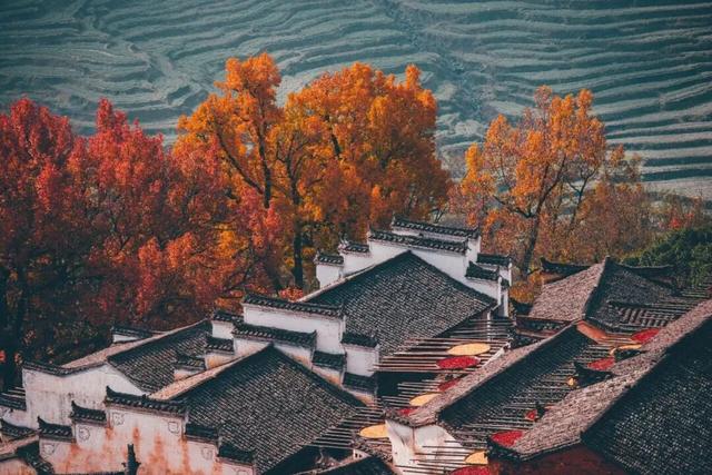 江西秋日自驾天花板，这几条公路带你驶入最美秋色！