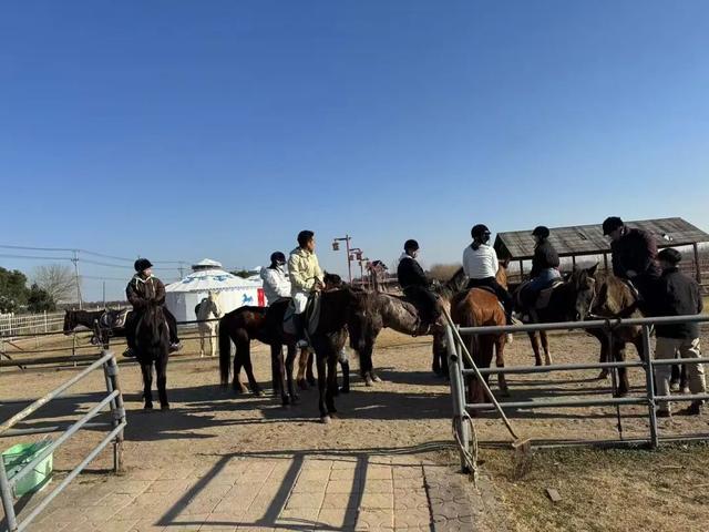 马年寻马趣！盘点崇明3家宝藏骑马场