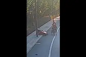 杭州傍晚突发！男子当场傻眼：怎么是你！电影都不敢这么拍......图片